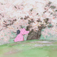Illustration for article titled Let's Admire The Beauty of Studio Ghibli